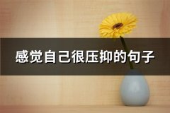 感觉自己很压抑的句子(实用66句)