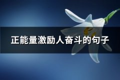 正能量激励人奋斗的句子(67句)
