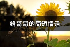 给哥哥的简短情话(实用65句)