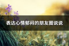 表达心情郁闷的朋友圈说说(实用66句)