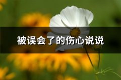 被误会了的伤心说说(推荐65句)