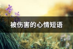 被伤害的心情短语(68句)
