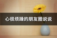 心很烦躁的朋友圈说说(实用66句)