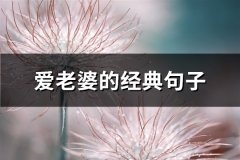 爱老婆的经典句子(汇总67句)