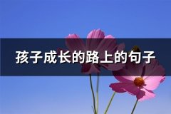 孩子成长的路上的句子(优选58句)