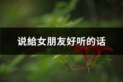 说給女朋友好听的话(必备66句)