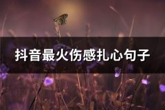 抖音最火伤感扎心句子(汇总75句)