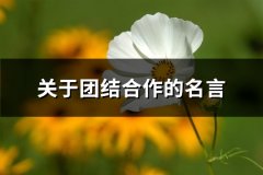 关于团结合作的名言(通用46句)