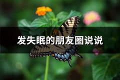 发失眠的朋友圈说说(实用66句)