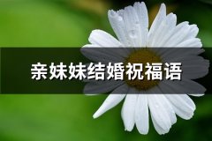 亲妹妹结婚祝福语(实用53句)