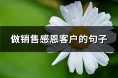 做销售感恩客户的句子(精选58句)