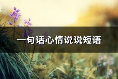 一句话心情说说短语(推荐67句)
