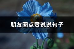 朋友圈点赞说说句子(优选65句)