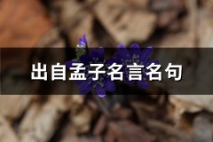 出自孟子名言名句(必备66句)