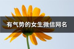有气势的女生微信网名(优选340个)