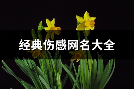 经典伤感网名大全(优选440个)(十大伤感网名)