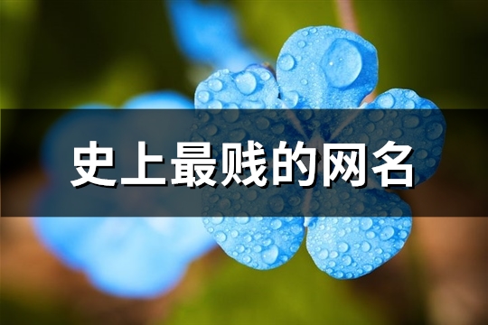 史上最贱的网名(共247个)(史上最贱的网名女生)