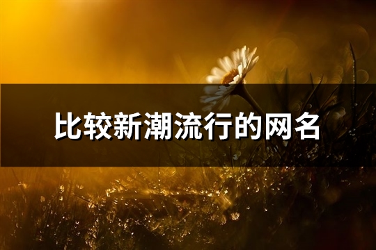 比较新潮流行的网名(精选250个)(新潮流的歌)