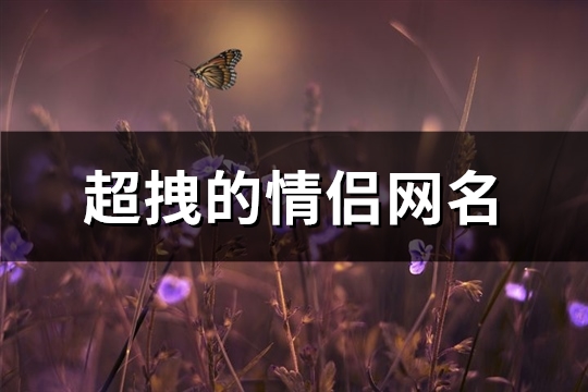 超拽的情侣网名(162个)(超拽的情侣网名二字)