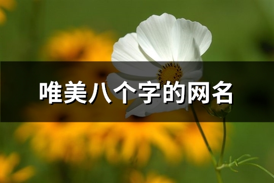 唯美八个字的网名(215个)