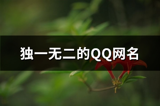 独一无二的QQ网名(精选113个) 独一无二qq名