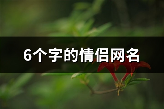 6个字的情侣网名(优选194个)(6个字的情侣网名一男一女)