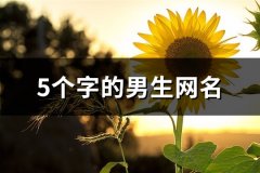 5个字的男生网名(优选659个)
