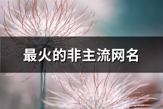 最火的非主流网名(精选260个)(很火的非主流网名)