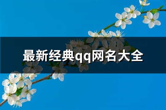 最新经典qq网名大全(304个)