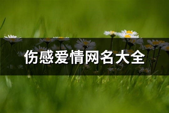 伤感爱情网名大全(精选164个)(爱情伤感网名带符号)