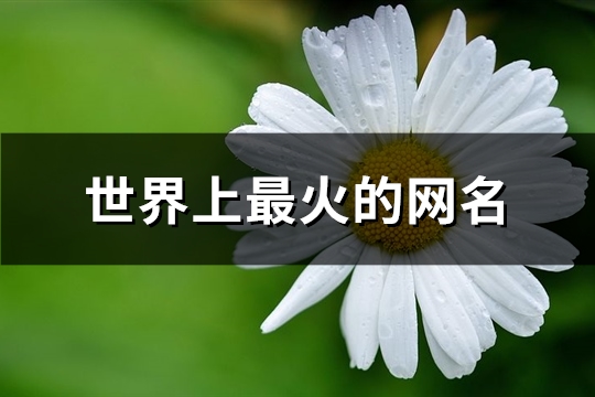 世界上最火的网名(417个)(世界上最火的网名和签名女生)