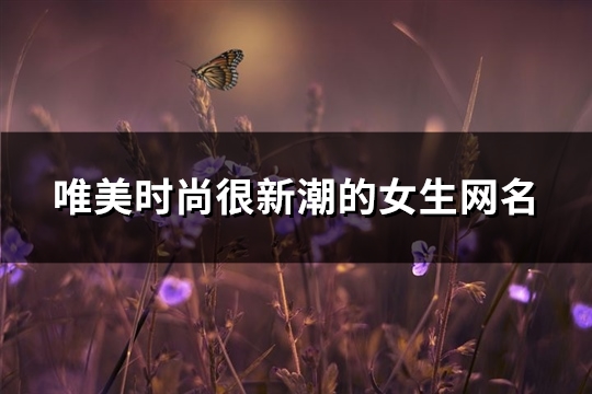 唯美时尚很新潮的女生网名(精选491个)(唯美时尚女装)