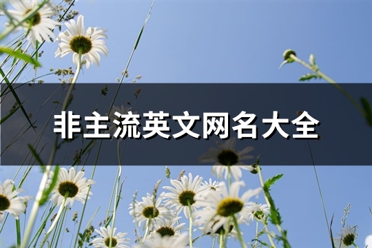 非主流英文网名大全(75个)(非主流英文网名女)