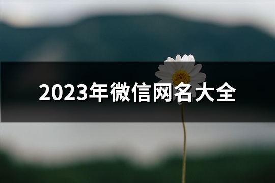 2023年微信网名大全(共289个) 2023年微信网名合集