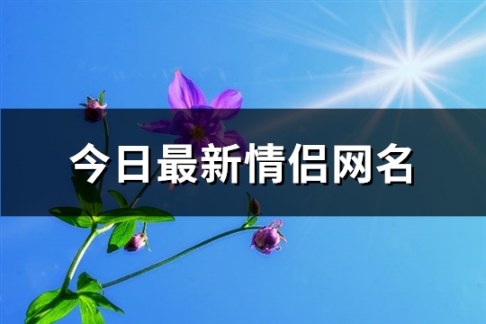今日最新情侣网名(优选345个) 今日最新情侣头像个性网