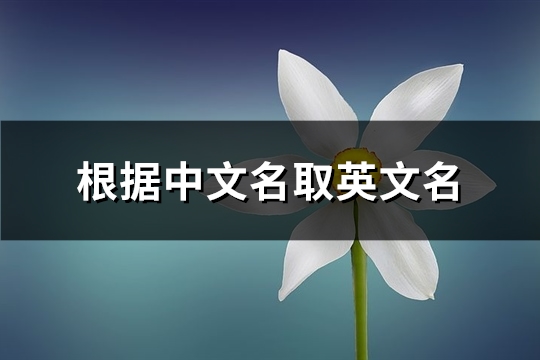 根据中文名取英文名(75个)(根据中文名取英文名在线)