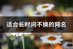 适合长时间不换的网名(66个)