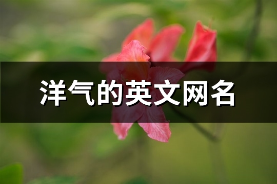 洋气的英文网名(优选363个)(洋气的英文网名字男)