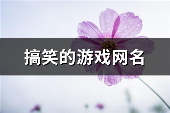 搞笑的游戏网名(精选64个)(搞笑的游戏网名6个字之内)