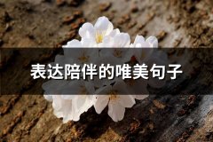 表达陪伴的唯美句子(65句)