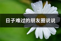 日子难过的朋友圈说说(推荐67句)