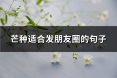 芒种适合发朋友圈的句子(精选52句)