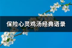 保险心灵鸡汤经典语录(精选66句)