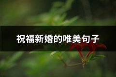 祝福新婚的唯美句子(实用66句)