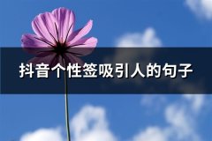 抖音个性签吸引人的句子(共67句)