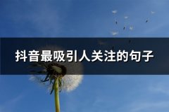 抖音最吸引人关注的句子(通用66句)