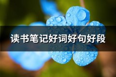 读书笔记好词好句好段(必备35句)