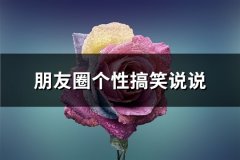 朋友圈个性搞笑说说(推荐67句)