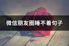 微信朋友圈睡不着句子(必备66句)