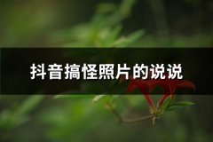 抖音搞怪照片的说说(精选51句)